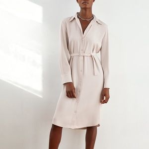 Aritzia Shirt Dress